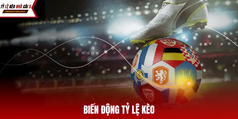 Đội ngũ chuyên gia luôn theo sát mọi biến động tỷ lệ kèo để cung cấp cho bạn