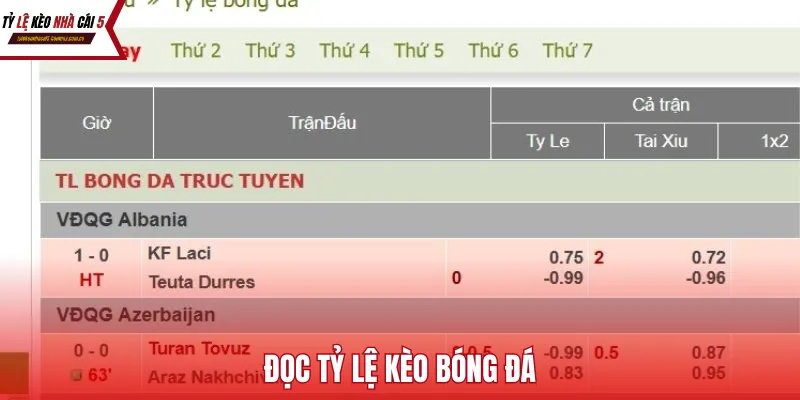 Đọc Tỷ Lệ Kèo Bóng Đá – Kỹ Năng Nền Tảng Để Chinh Phục Mọi Trận Đấu