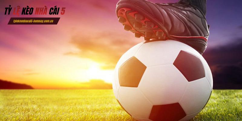 Web Tỷ lệ kèo nhà cái cung cấp dữ liệu gì?